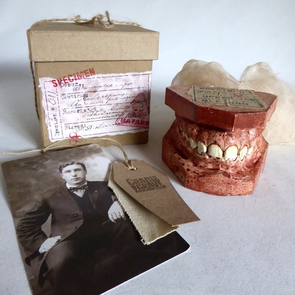 NEW OOAK HANDCRAFTED ODDITY ZOMBIE UNDEAD HALLOWEEN TEETH SPECIMEN HORROR PROP